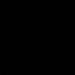 Meet your Posher, Evan